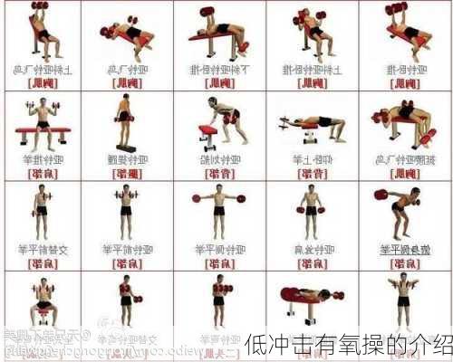 低冲击有氧操的介绍
