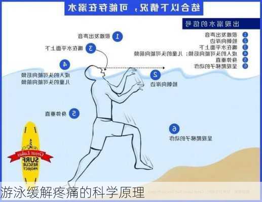 游泳缓解疼痛的科学原理