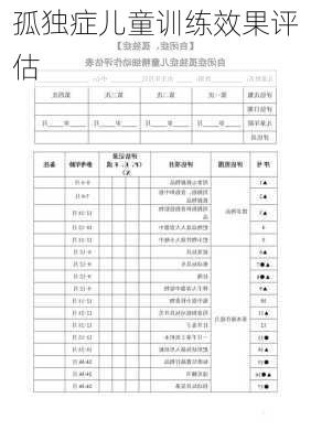 孤独症儿童训练效果评估