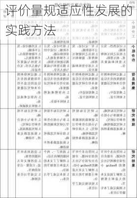 评价量规适应性发展的实践方法