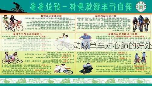 动感单车对心肺的好处