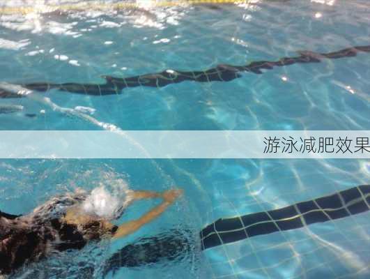 游泳减肥效果