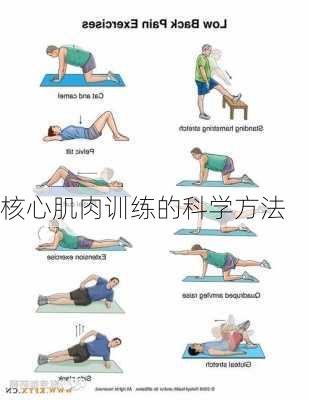 核心肌肉训练的科学方法