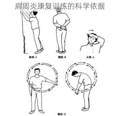 肩周炎康复训练的科学依据