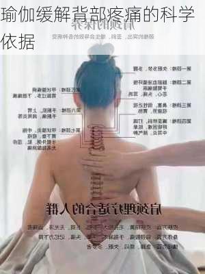 瑜伽缓解背部疼痛的科学依据