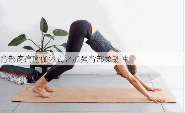 背部疼痛瑜伽体式之加强背部柔韧性