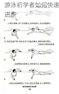 游泳初学者如何快速进步