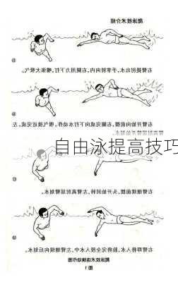 自由泳提高技巧