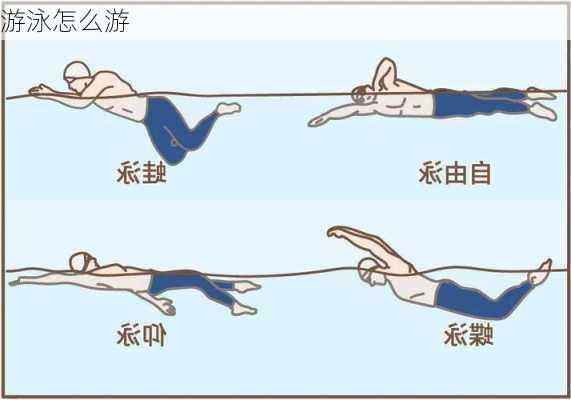 游泳怎么游