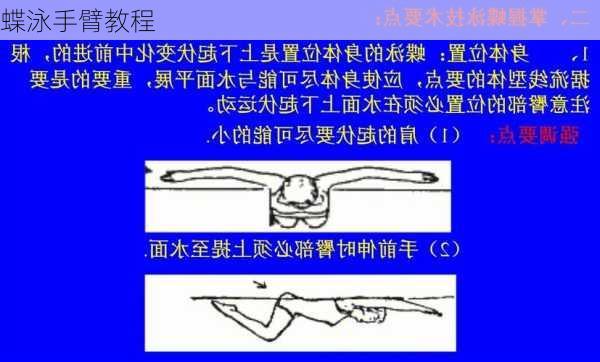 蝶泳手臂教程