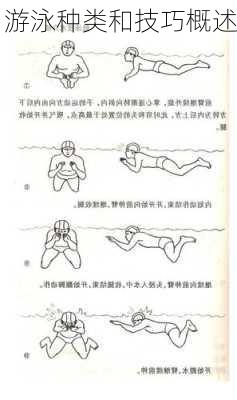 游泳种类和技巧概述