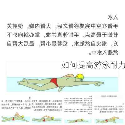如何提高游泳耐力