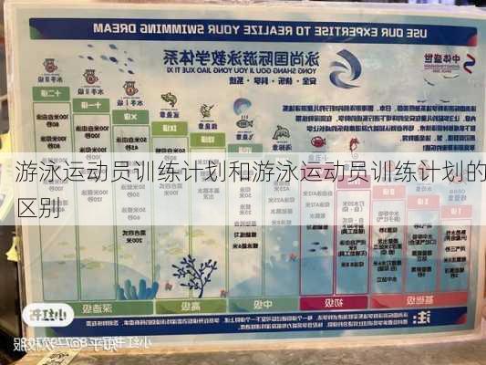 游泳运动员训练计划和游泳运动员训练计划的区别