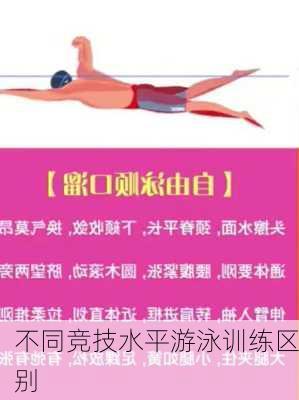 不同竞技水平游泳训练区别