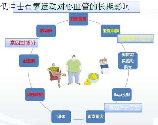 低冲击有氧运动对心血管的长期影响