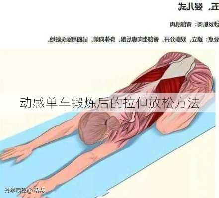 动感单车锻炼后的拉伸放松方法