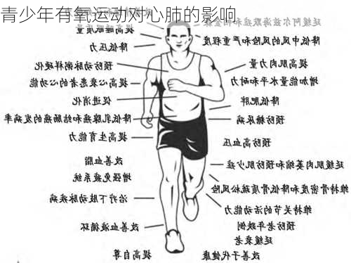 青少年有氧运动对心肺的影响