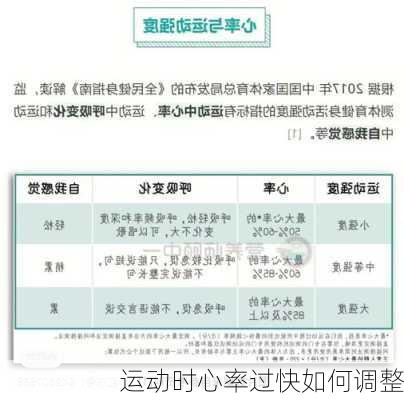 运动时心率过快如何调整