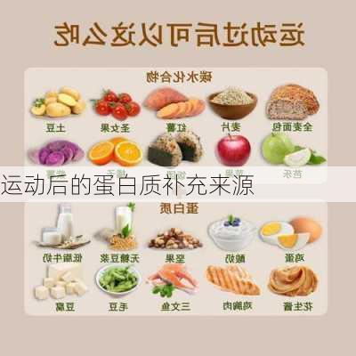 运动后的蛋白质补充来源