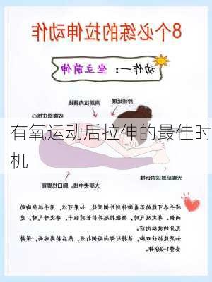 有氧运动后拉伸的最佳时机