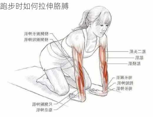 跑步时如何拉伸胳膊