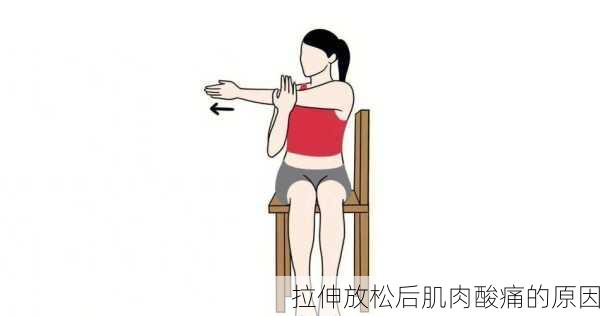 拉伸放松后肌肉酸痛的原因