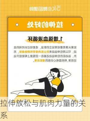 拉伸放松与肌肉力量的关系