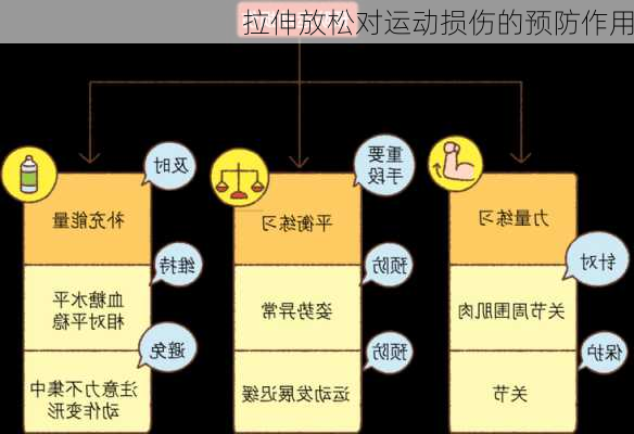 拉伸放松对运动损伤的预防作用