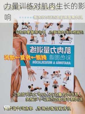 力量训练对肌肉生长的影响