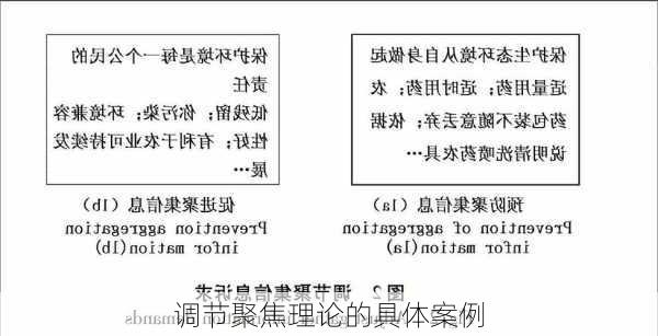 调节聚焦理论的具体案例