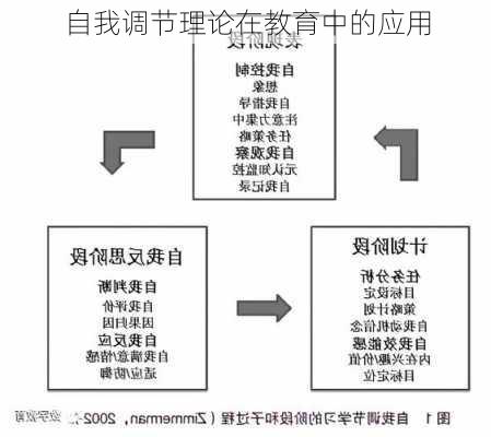 自我调节理论在教育中的应用