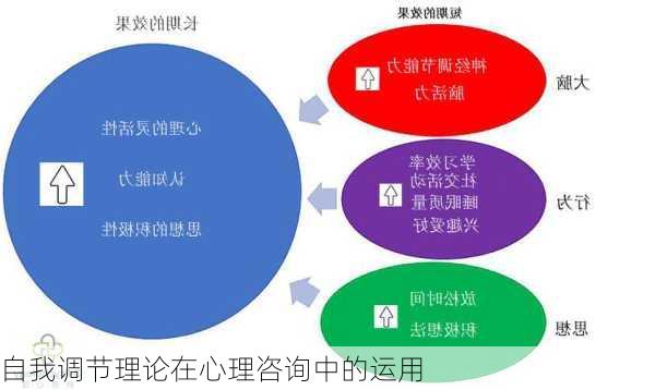 自我调节理论在心理咨询中的运用