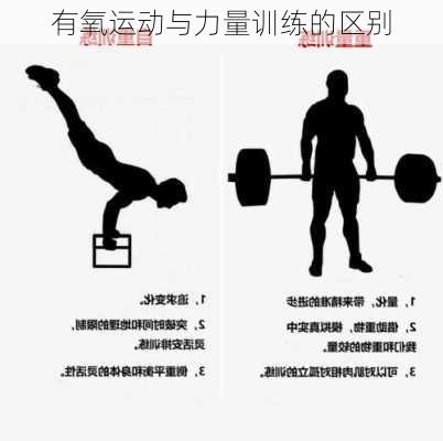 有氧运动与力量训练的区别