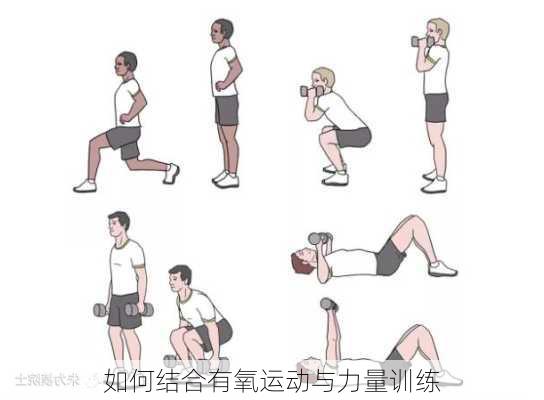 如何结合有氧运动与力量训练