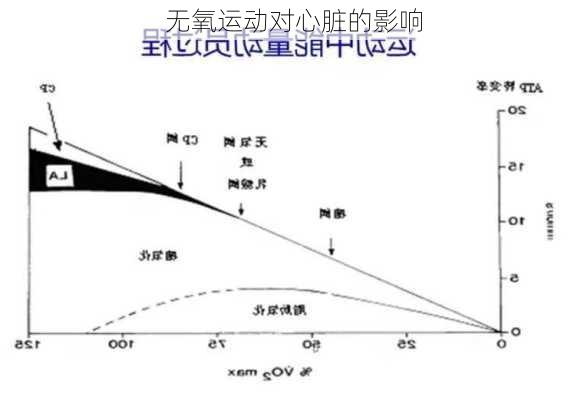 无氧运动对心脏的影响
