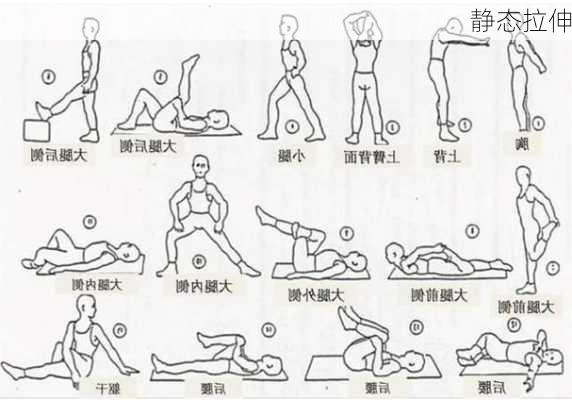 静态拉伸
