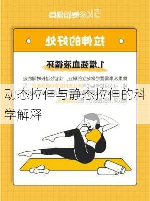 动态拉伸与静态拉伸的科学解释