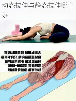 动态拉伸与静态拉伸哪个好