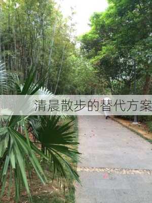 清晨散步的替代方案