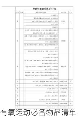 有氧运动必备物品清单