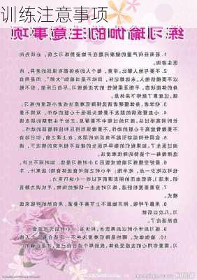 训练注意事项