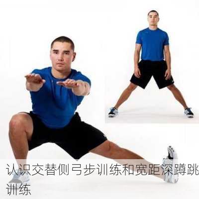认识交替侧弓步训练和宽距深蹲跳训练