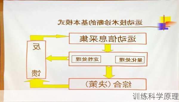 训练科学原理
