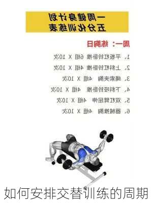如何安排交替训练的周期