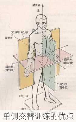 单侧交替训练的优点