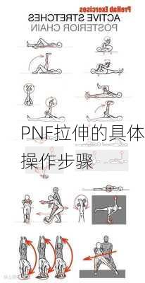 PNF拉伸的具体操作步骤