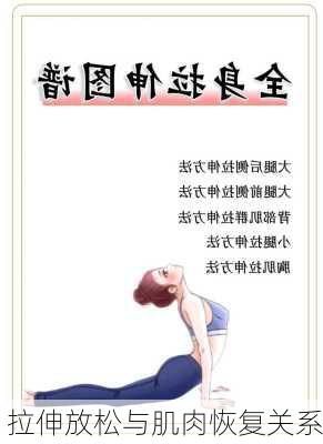 拉伸放松与肌肉恢复关系