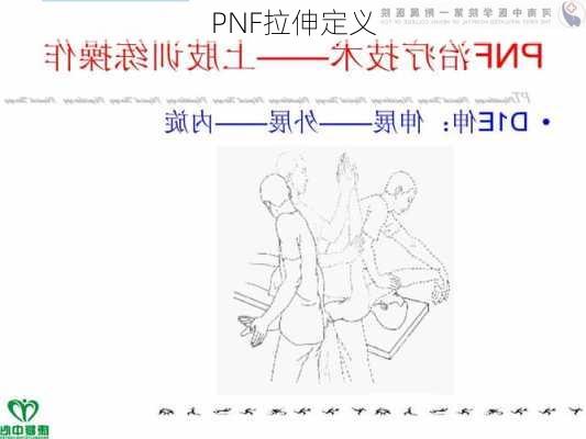 PNF拉伸定义