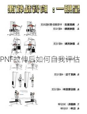 PNF拉伸后如何自我评估