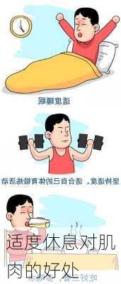 适度休息对肌肉的好处